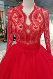 Evening Dresses A-Line V-Neck Long Sleeves Tulle Sweep/Brush With Zipper