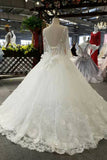Luxury Wedding Dresses A-Line Floor Length Long Sleeves Lace Up Back Tulle With Applique And