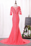 Mermaid Scoop Mid-Length Sleeves Prom Dresses Tulle With Appliques Covered