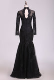 Mermaid Prom Dresses High Neck Long Sleeves Floor Length Tulle With Applique