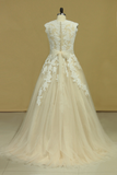 Plus Size V Neck Wedding Dresses Tulle With Applique Court Train Tulle