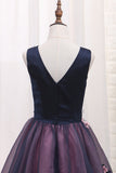 Organza A-Line V Neck Homecoming Dresses With