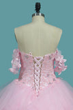Sweetheart Quinceanera Dresses Tulle With Applique And