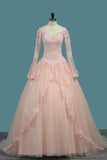 Ball Gown Long Sleeves V Neck Quinceanera Dresses Tulle With