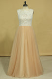Plus Size Scoop A Line Prom Dresses Tulle & Lace Floor Length