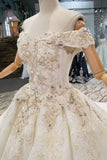Off-The-Shoulder Ball Gown Lace Lace Up Back Royal Train Wedding Dress With