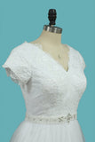Short Sleeves V Neck Wedding Dresses Tulle & Lace