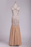 Prom Dresses Spaghetti Straps Open Back Tulle With Beading Floor Length