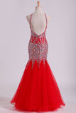 Red Spaghetti Straps Dark Royal Blue Prom Dresses Mermaid Tulle Beaded Bodice Floor