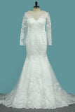 Mermaid/Trumpet Long Sleeves Court Train Tulle With Applique Wedding