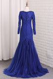 Prom Dresses V Neck Long Sleeves Tulle With