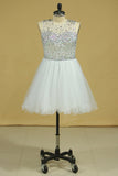 Scoop Beaded Bodice A Line Prom Dress Short/Mini With Tulle Skirt White Plus