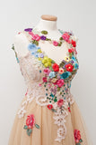 Lovely Open Back Charming Tulle Elegant Prom Dresses Applique Prom