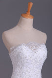Wedding Dresses Strapless Mermaid Chapel Train With Applique Lace