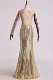 Scoop Mermaid Prom Dresses Sequins With Applique Floor Length Long