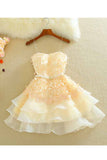 Organza Strapless A Line Homecoming Dresses With Applique And