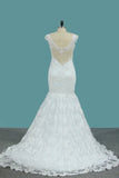 Wedding Dresses Straps Mermaid Tulle With Applique Sweep