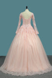 Ball Gown Long Sleeves V Neck Quinceanera Dresses Tulle With