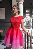 2024 Red Lace Appliques Top Cap Sleeves Multi Colors Tulle Short Homecoming Dresses