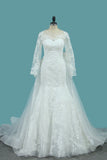 Tulle Long Sleeves Mermaid Wedding Dresses With Applique Court