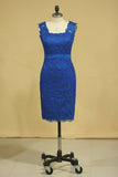 Sheath/Column Evening Dresses Off The Shoulder Lace With Ribbon Dark Royal