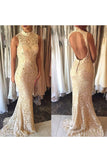 Evening Dresses High Neck Lace Mermaid Sweep Train Open